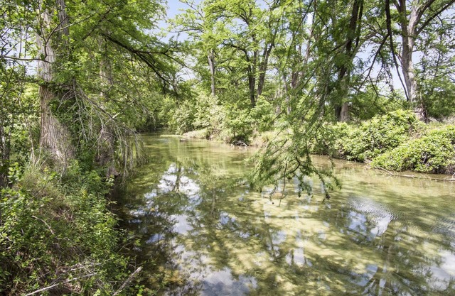 Muller's Ark Guest Ranch - River House