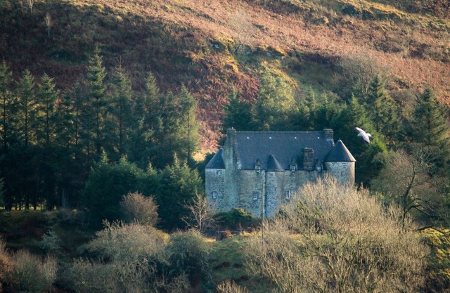 Whole Castle Hire-Rural-Baño Privado