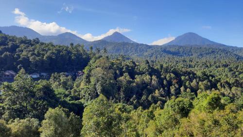 Munduk Twin Homestay