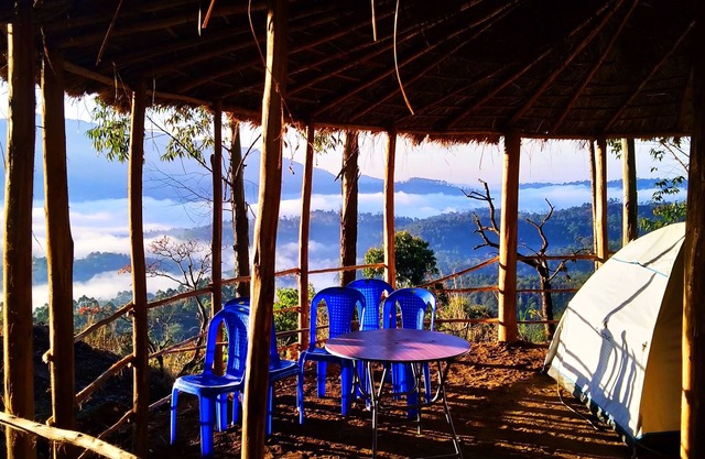 Munnar Jungle Camp