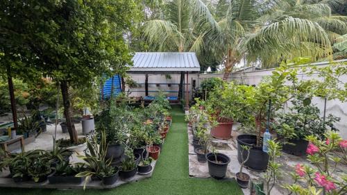 Muraadh Home Stay