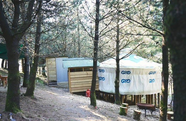 Mushroom Yurt set in 4 acres of woodland and lakes