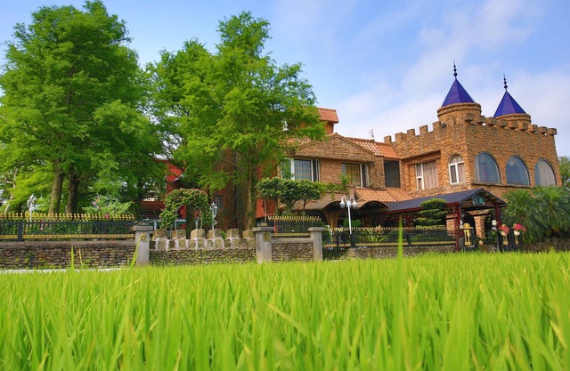 My Dream Castle