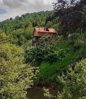 My house