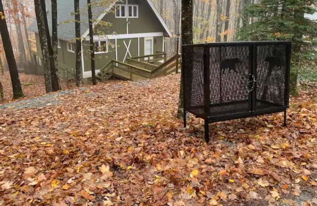 My little Cabin in the Woods at Beech Mountain!