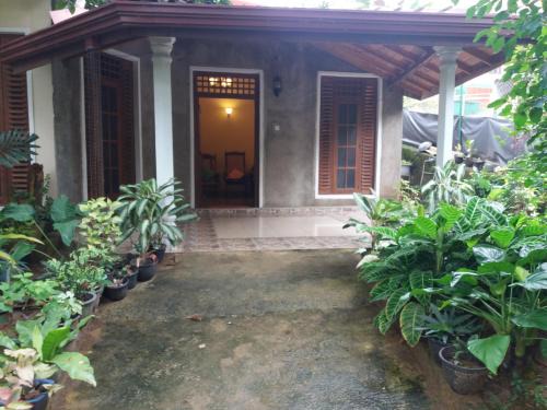 My Paradise Homestay