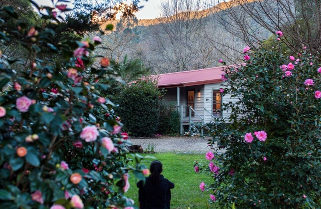 Mystic View Cottage