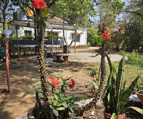 Mysticgreens Home Stay