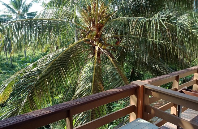 N.D. Place Lanta