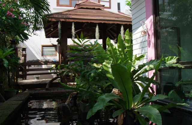 Naifun BB House