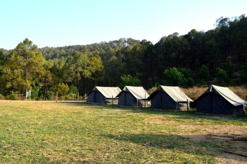 Nainital Camp Wildland & Farmstay