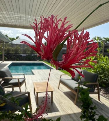 Nakolodge - 2 chambres -piscine et jardin privatifs