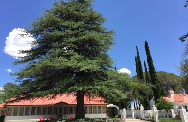 NAN Ranch - En el río mágico Mimbres de Nuevo México, un retiro histórico