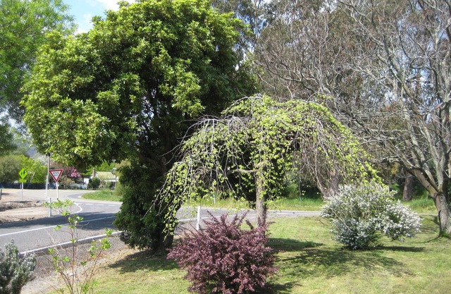 Nathan's Place