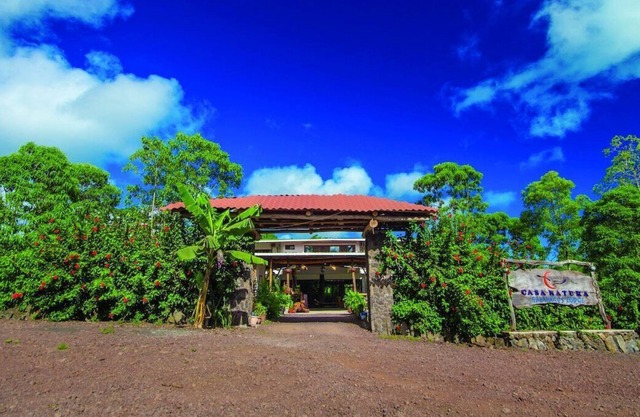 Natura Gardens