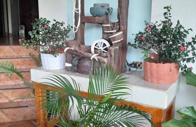 Natural Pacific Suites
