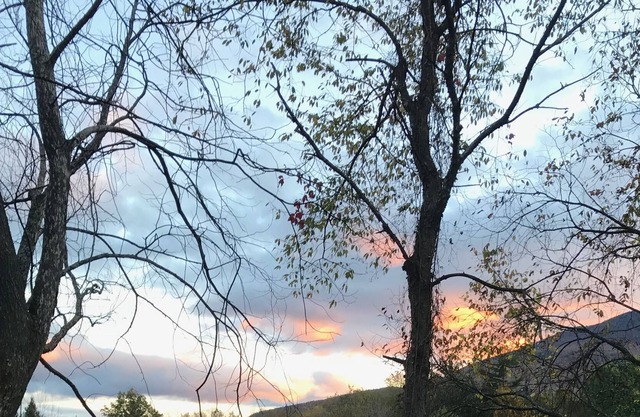 Nature, activities, dining, farmers market and shopping near town.