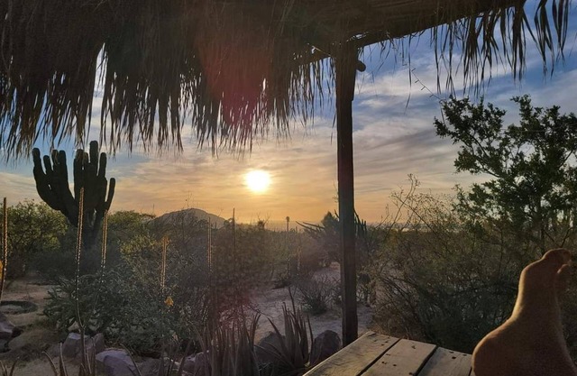 Nature tiny house overlooking La Paz