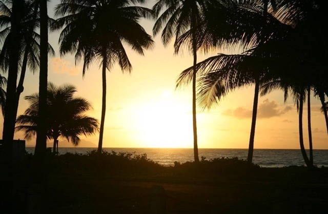 Relax-Unwind-Topical Escape Beach / Sanctuary Home- ¡3500 acres! Privado y Prestinado