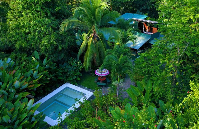 Nature Lover's Paradise - 2 BR / 1. 5 baños, piscina y jardines en la playa