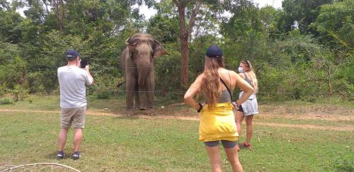 Nature Lovers Safari Villa