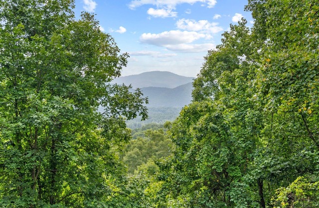 Nature Nook w/ Mtn Views!-Near AVL