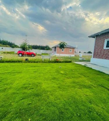 Nature's Nest Cottages