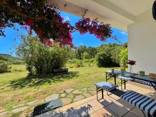 Nature Villa