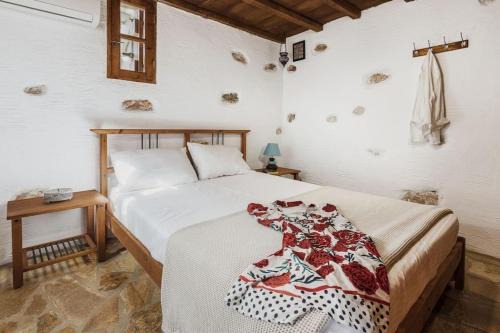 Naxos Alyko Traditional Vacation House 'Mitatos'