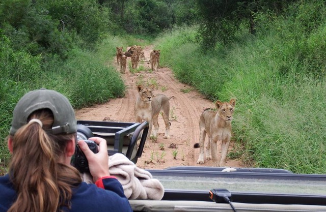 NDZUTI BUSH CAMP