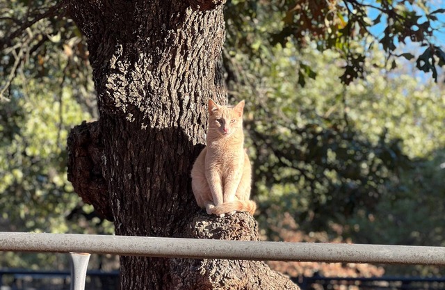 Near Turner Falls, Arbuckle Lake, Chickasaw National Park, & CrossBar Ranch.
