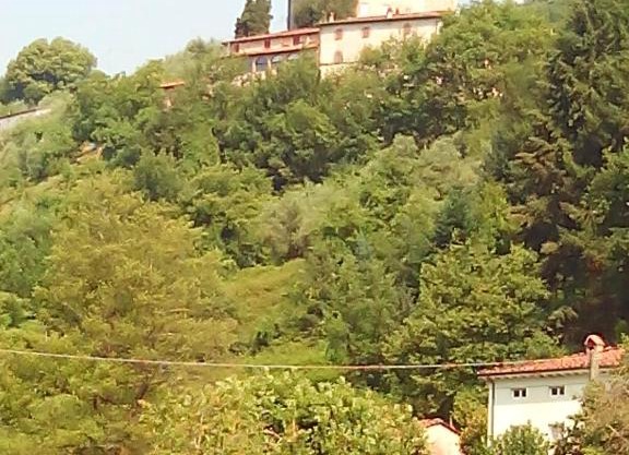 Nel Colle