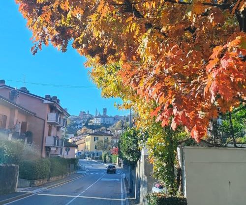 Nelly Bergamo Apartments