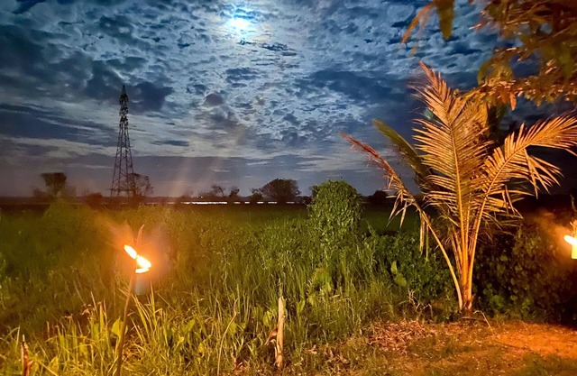 Neralu Garden Yala