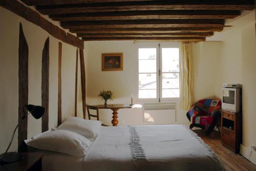 Nest in Paris