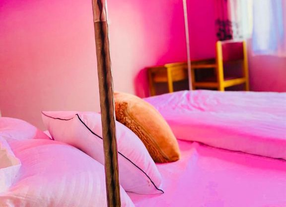 NEST SUITES