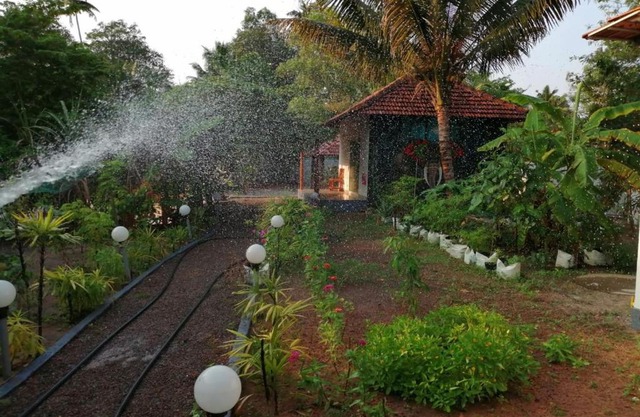 Nettle Trees Farm Stay