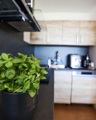 NEU Superior Apartment 312, Oberharz, Schwimmbad und Sauna