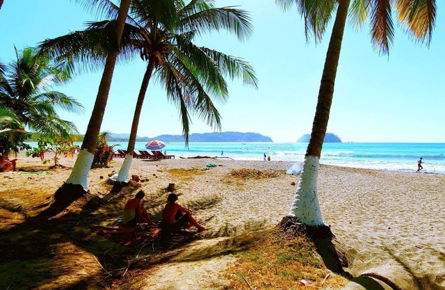 ¡NUEVO! # 1 Ocean Beaches Mountains Adventure en la jungla
