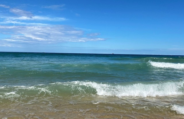 NEW BEACH Luxury 3B 2B unit - Ocean Views! 250m to Buddina Beach!