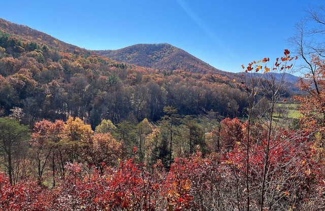 NEW Buck Ridge Bungalow - Sleeps 5