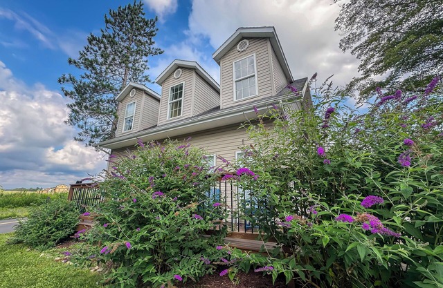 New: Charming and Great Value Lake Area Cottage