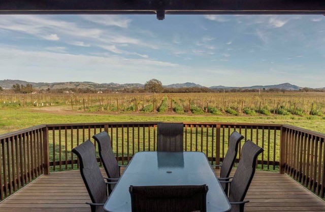 NEW! Charming Vineyard Cottage in the heart of the Russian river wine country!