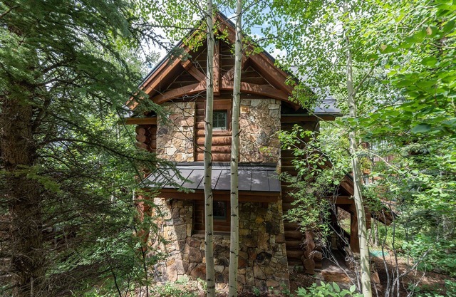 New! Chic European Style Cabin, Short Walk To Ski 3 Bedroom Home by RedAwning