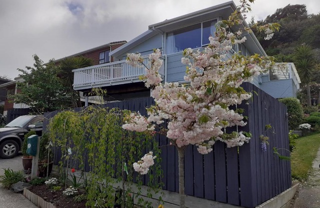 New, Cosy & Private 1-Bedroom & Living Flat