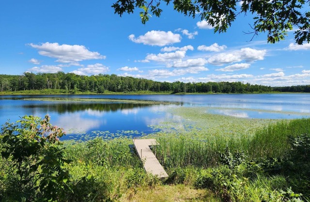New, cozy and quiet 2-bedroom lake house near Walker/Leech Lake