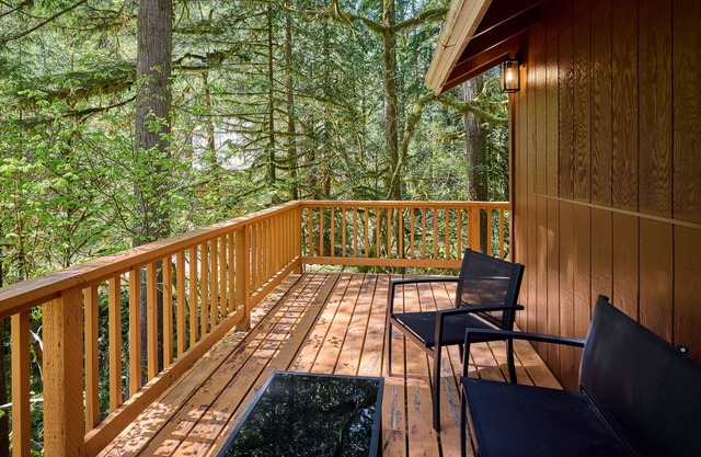 NEW - Cozy Waterfront Cabin Nestled in the Forest - King beds / AC / Fast Wi-fi