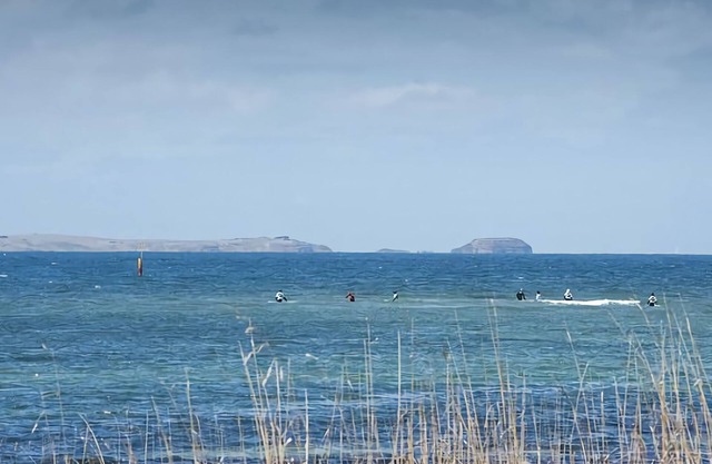 NEW HAVEN in Shoreham