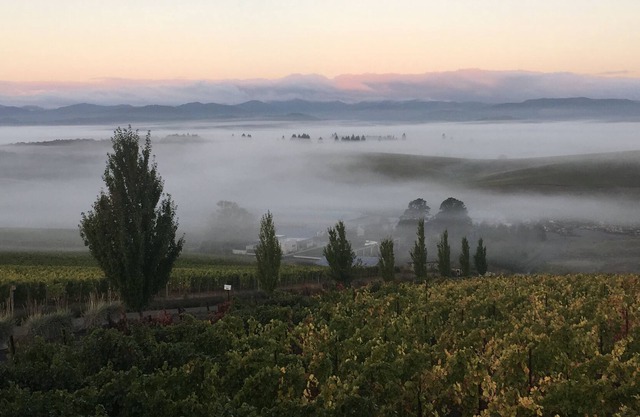 Nuevo listado. Hermoso apartamento en el medio de un viñedo de Willamette Valley.