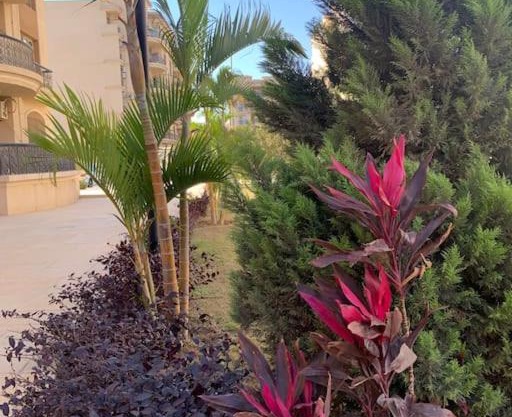 New Luxuriously Furnished Apartment in New Cairo
